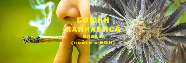 гидропоника Алзамай