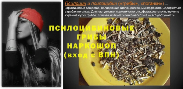 крисы Алексин