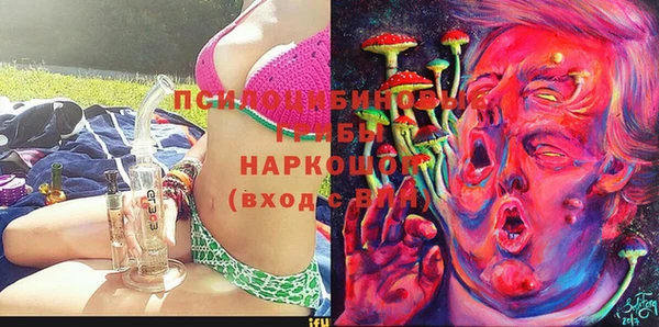 гидропоника Алзамай