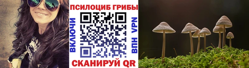 Псилоцибиновые грибы прущие грибы  Бирюч 