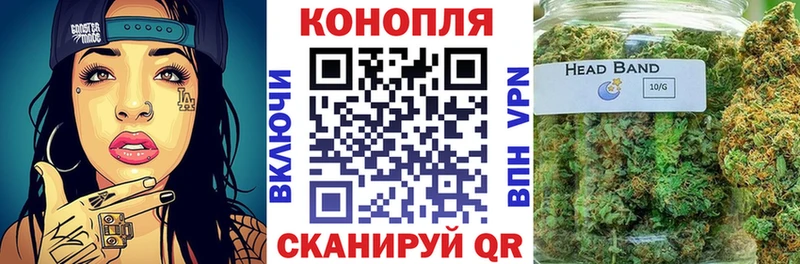 Канабис план  где найти наркотики  Бирюч 